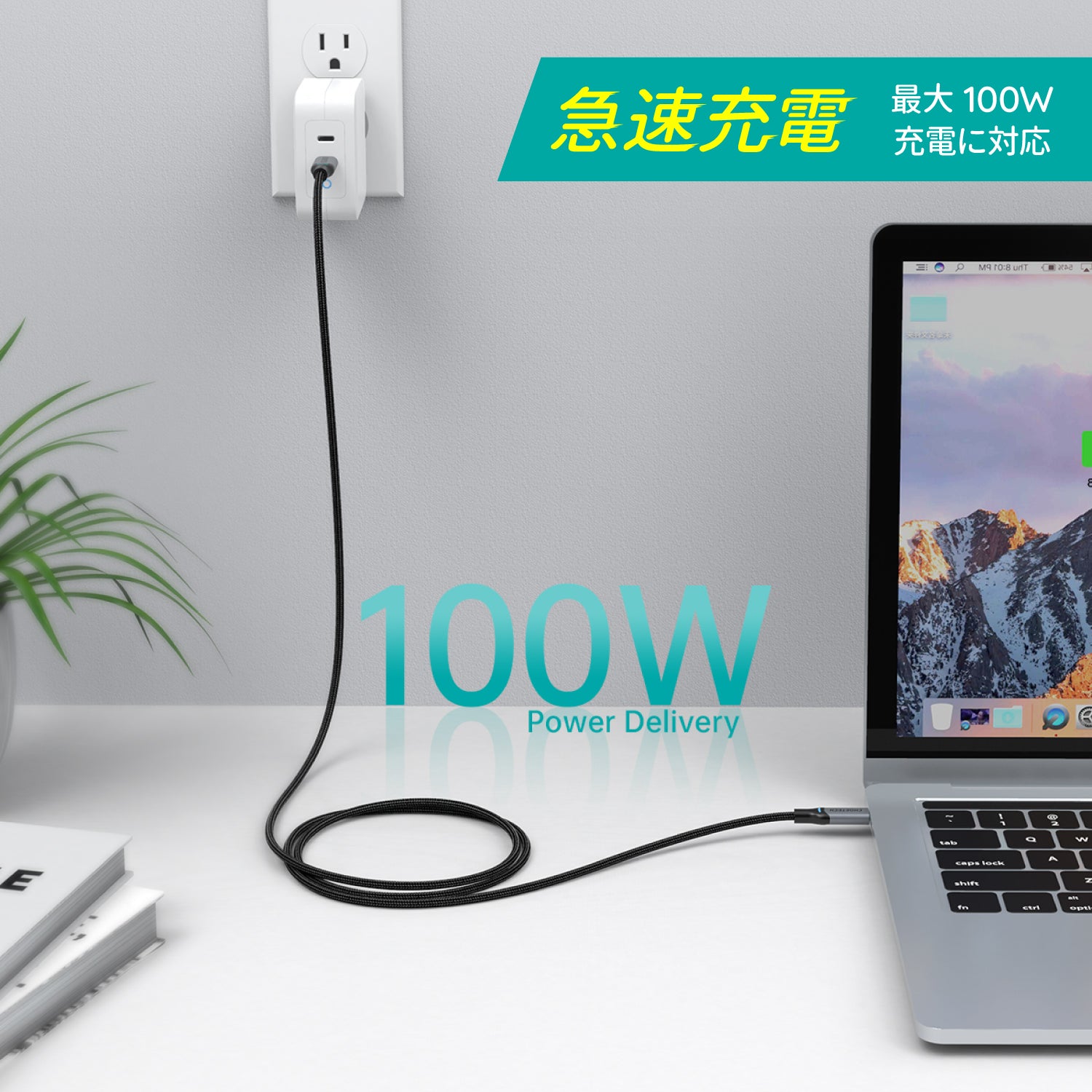 USB Type-Cケーブル USB-C to USB-C MacBook Pro対応 100W急速充電 XCC-1002