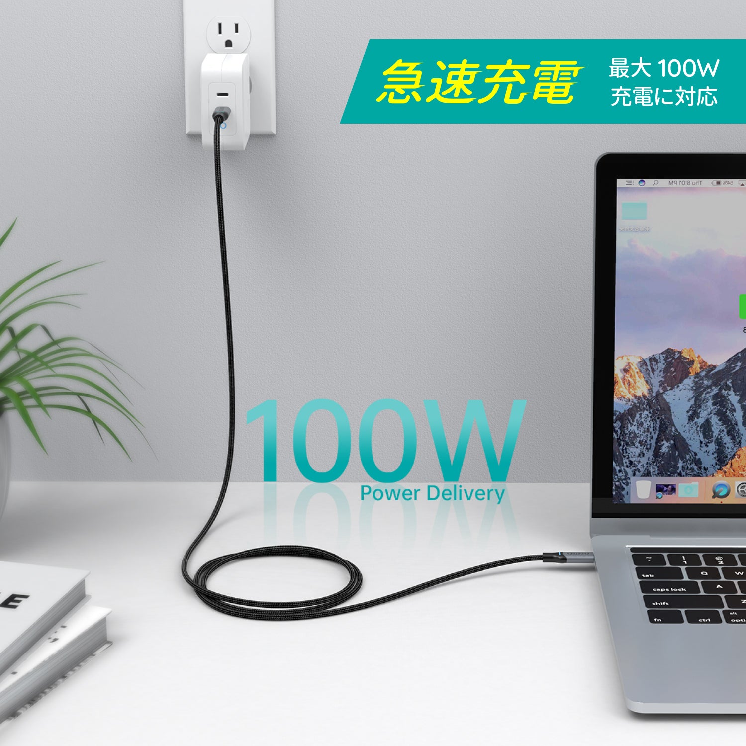 USB Type-Cケーブル  USB-C to USB-C MacBook Pro対応 100W急速充電 XCC-1002