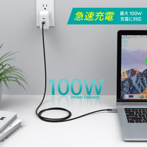 USB Type-Cケーブル  USB-C to USB-C MacBook Pro対応 100W急速充電 XCC-1002